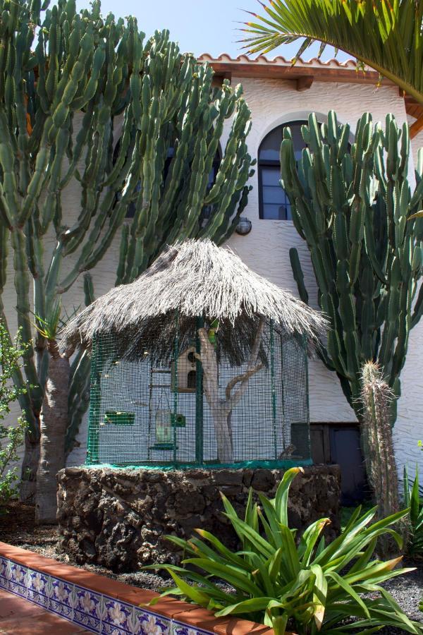 La Concha Apartments ONLY ADULTS Corralejo Exterior foto